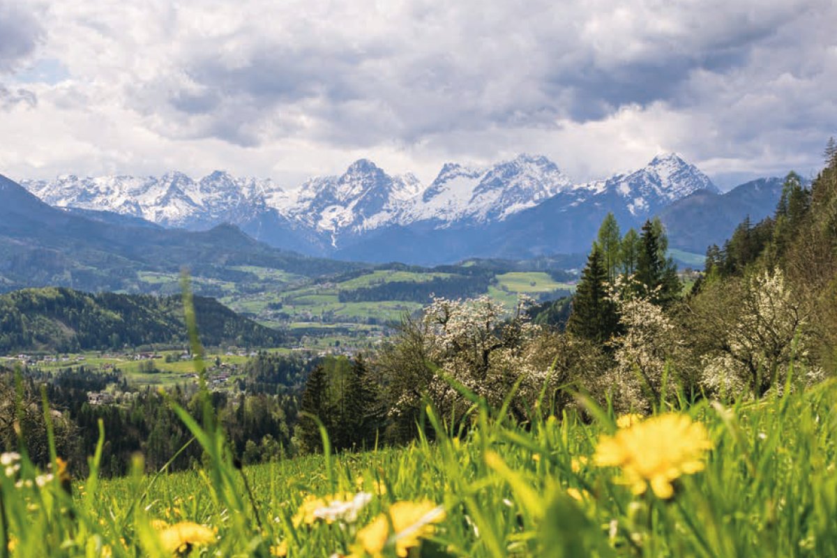 Wiesen und Berge der Pyhrn-Priel-Region